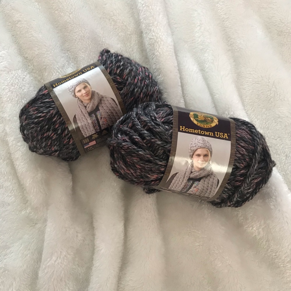 lion brand salem creek yarn (x2)
